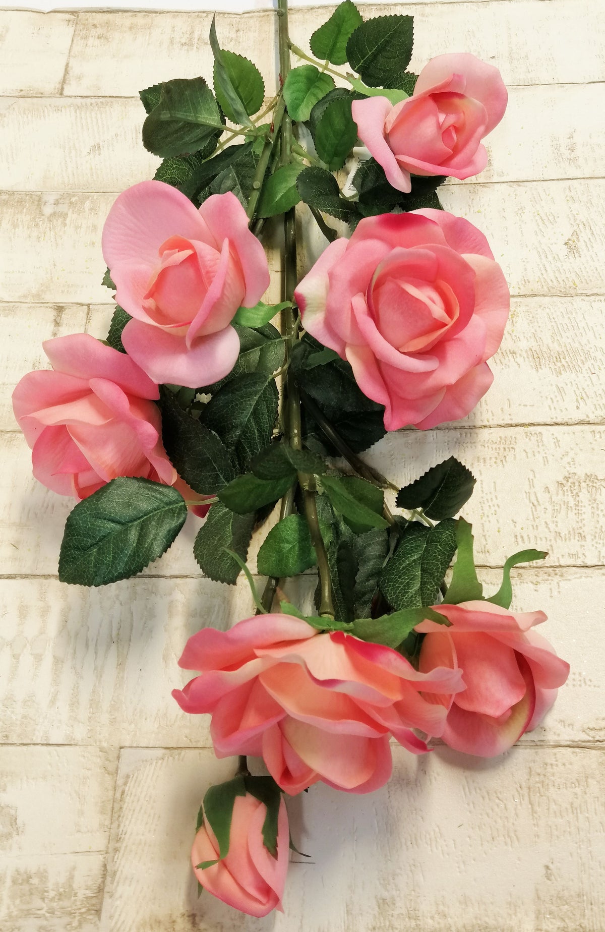 Rose rosa