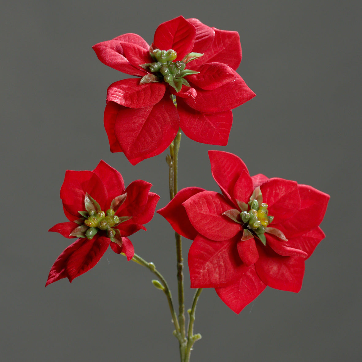 Weihnachtsstern 3 Blüten rot 43cm lang Weinachten-Deko