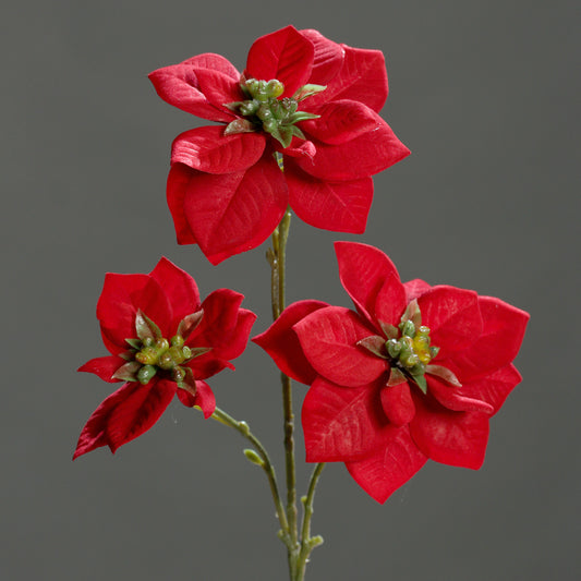 Weihnachtsstern 3 Blüten rot 43cm lang Weinachten-Deko