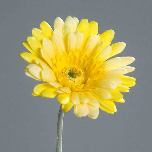 Gerbera gelb künstlich 12/57cm
