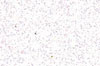 Moosgummi weiß Glitter 20x30