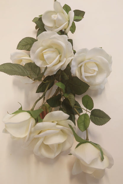Rose weiß