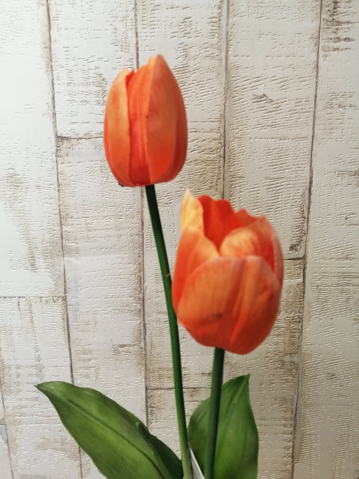 Tulpe orange 2tlg. 53cm künstlich