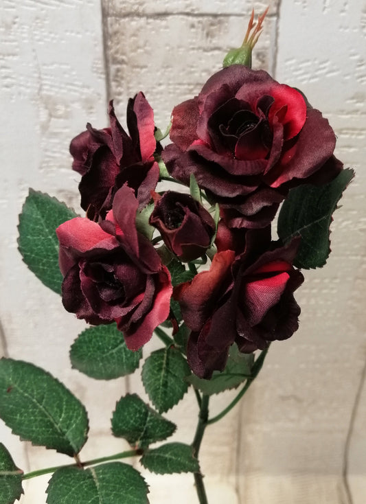 Rosenzweig dunkelrot 5Büten 2Knospen ca 30cm