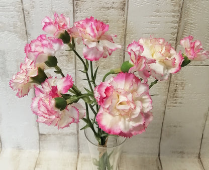Nelke weiß-rosa 2tlg. 5 Stck im Bund künstlich