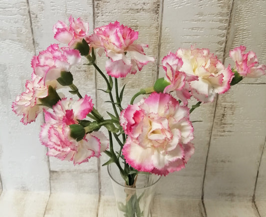Nelke weiß-rosa 2tlg. 5 Stck im Bund künstlich