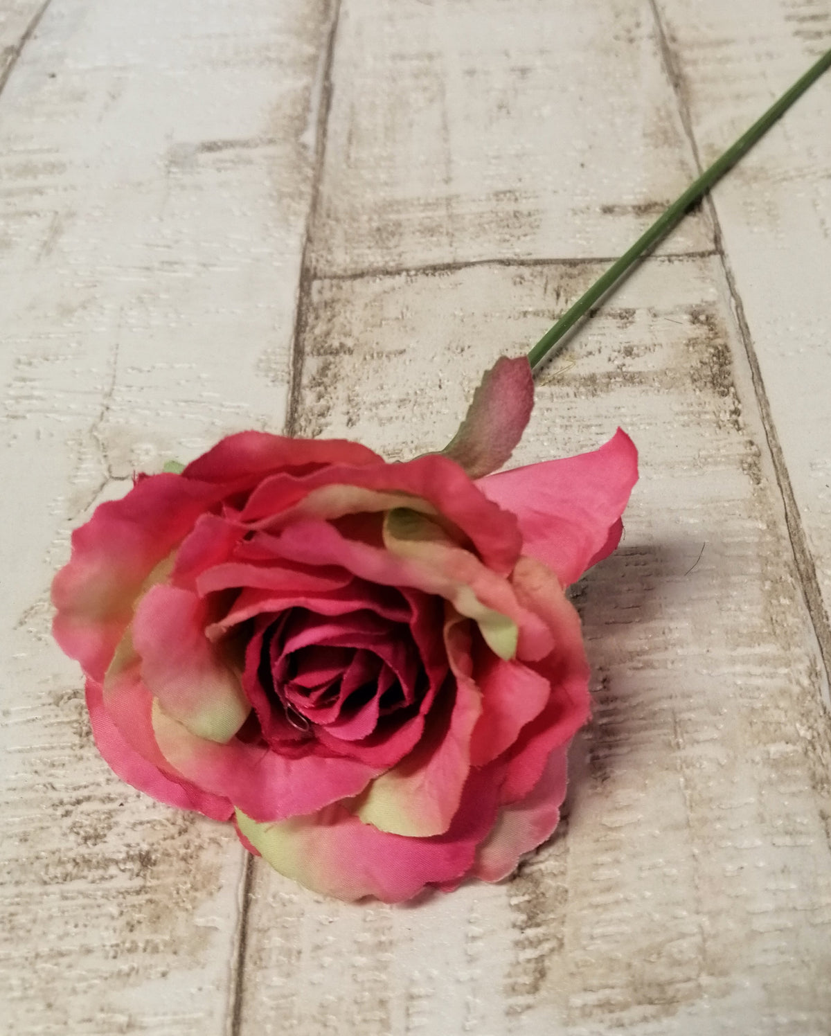 Rosenblüte