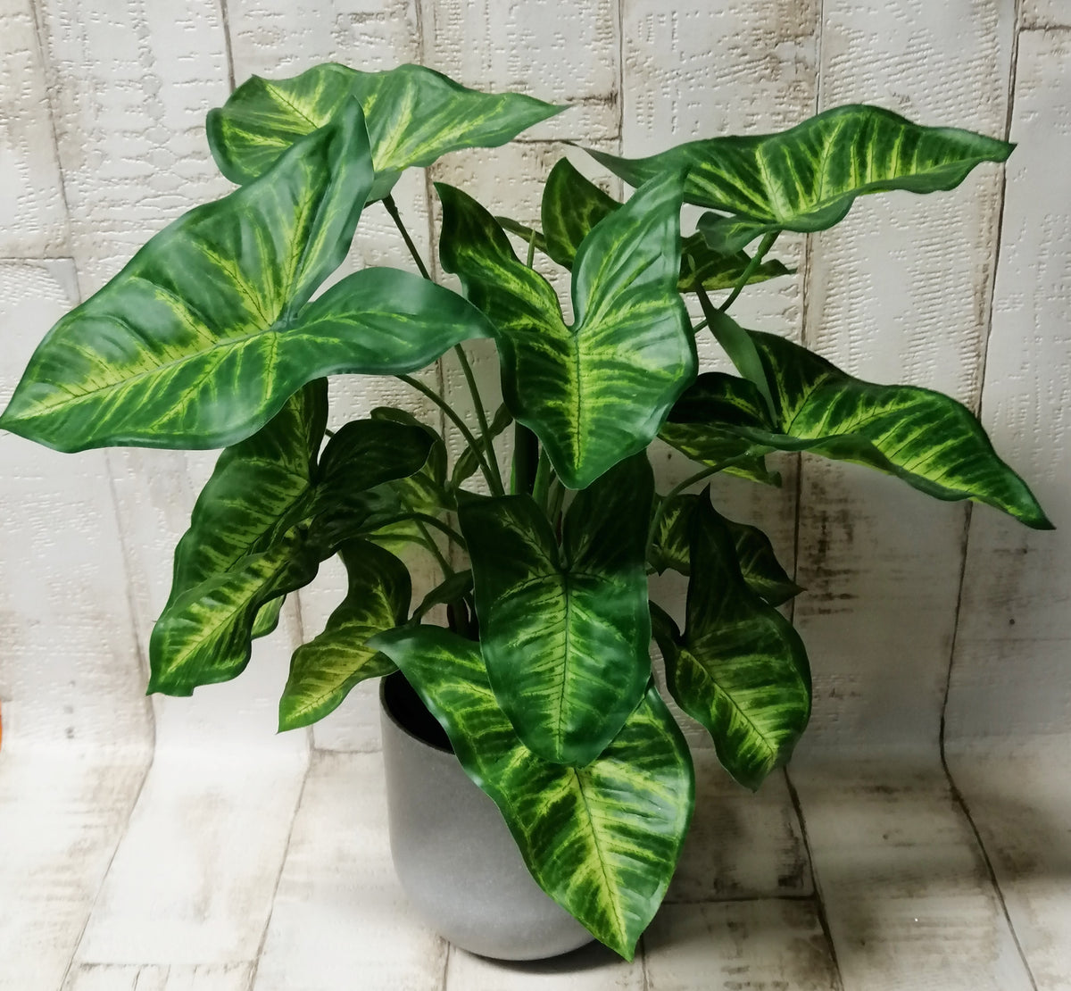 Syngonium im Topf 36/35cm künstliche Grünpflanze zur Dekoration