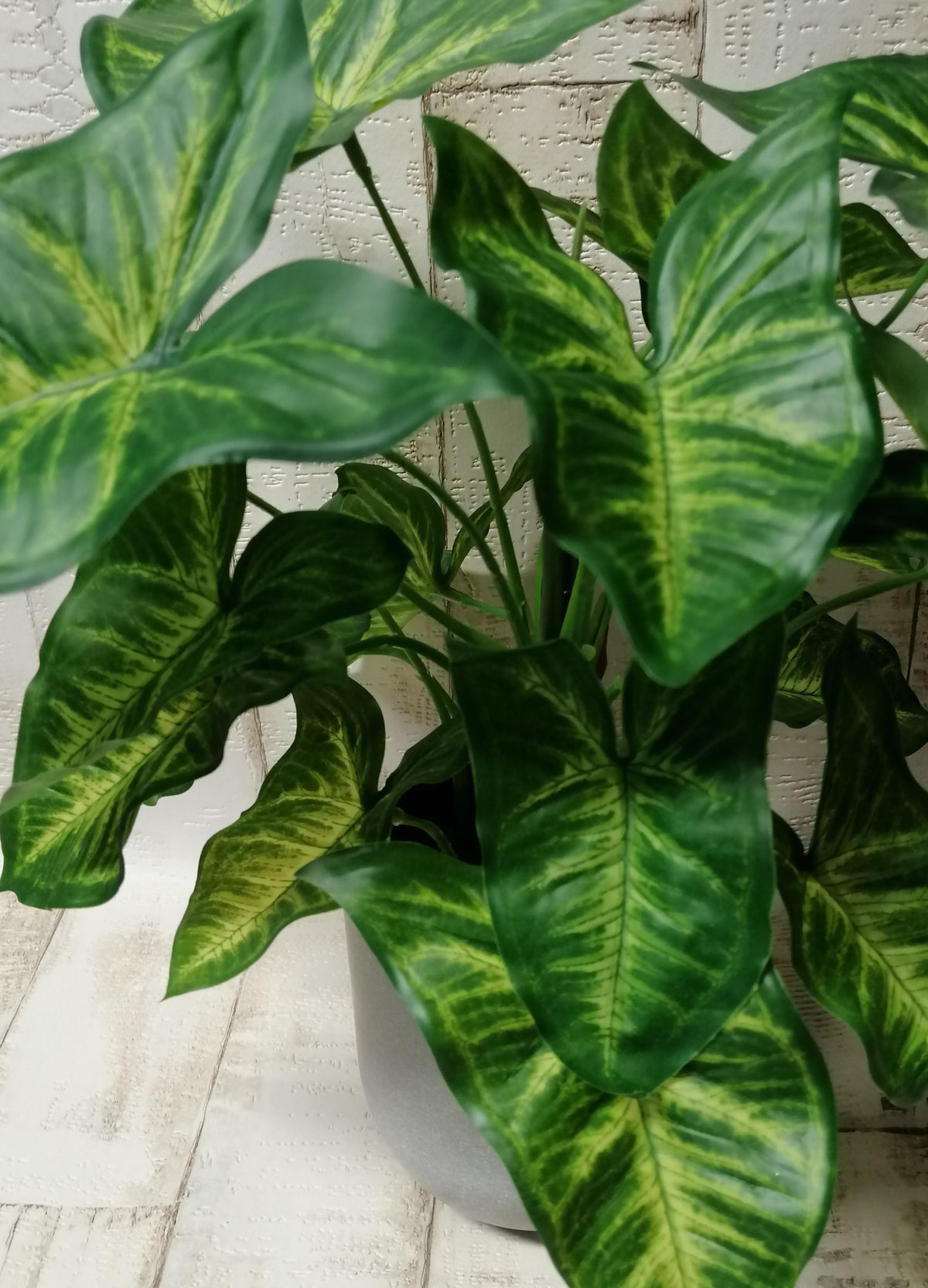 Syngonium  künstliche Grünpflanze Blumen
