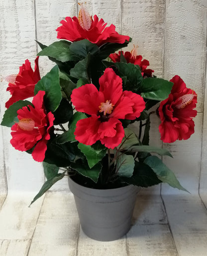 Hibiskus-Busch im Topf rot 6Blüten ca 37cm künstlich zur Dekoration