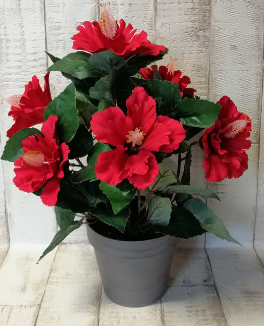 Hibiskus-Busch im Topf rot 6Blüten ca 37cm künstlich zur Dekoration