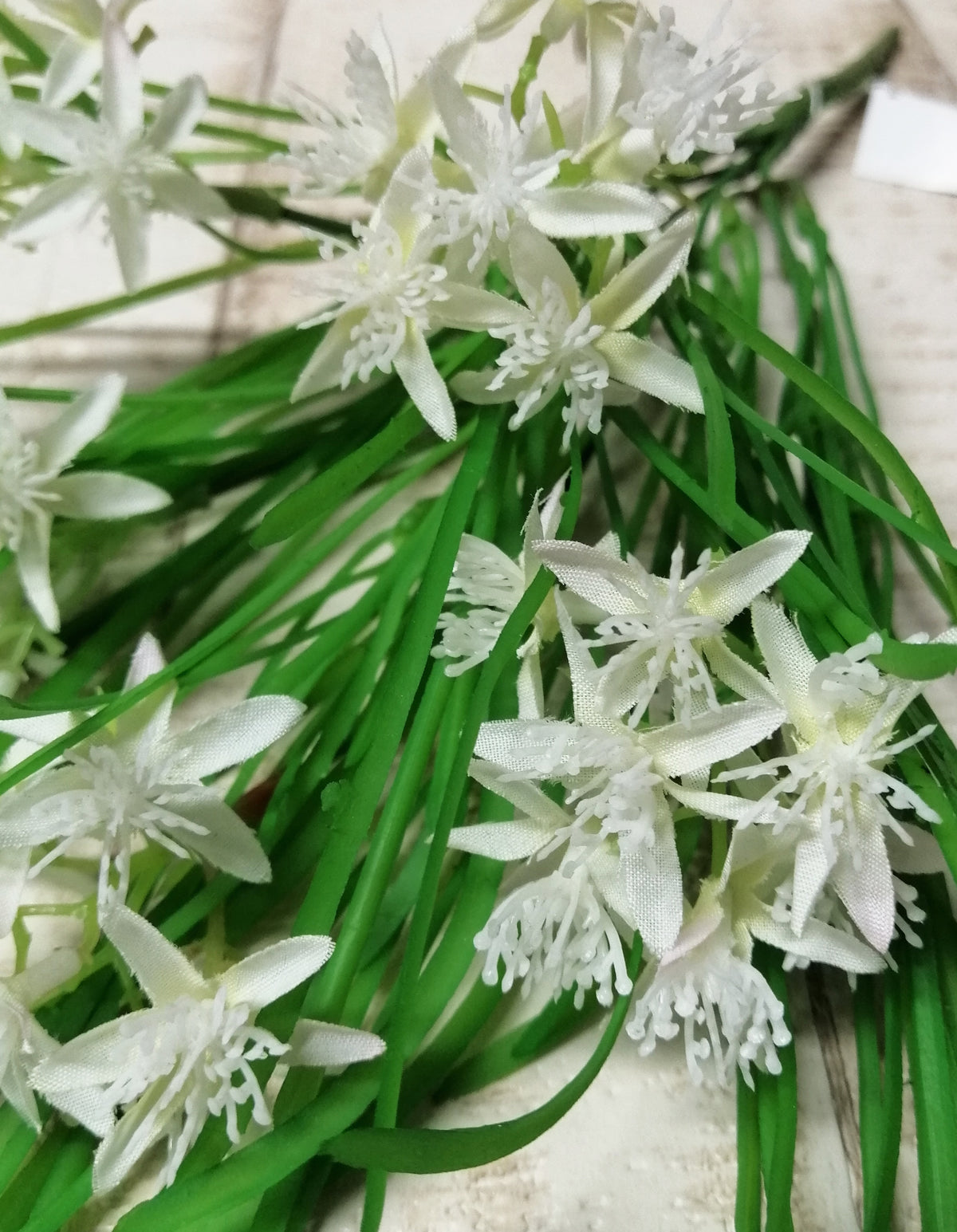 Wiesenblumen-Busch