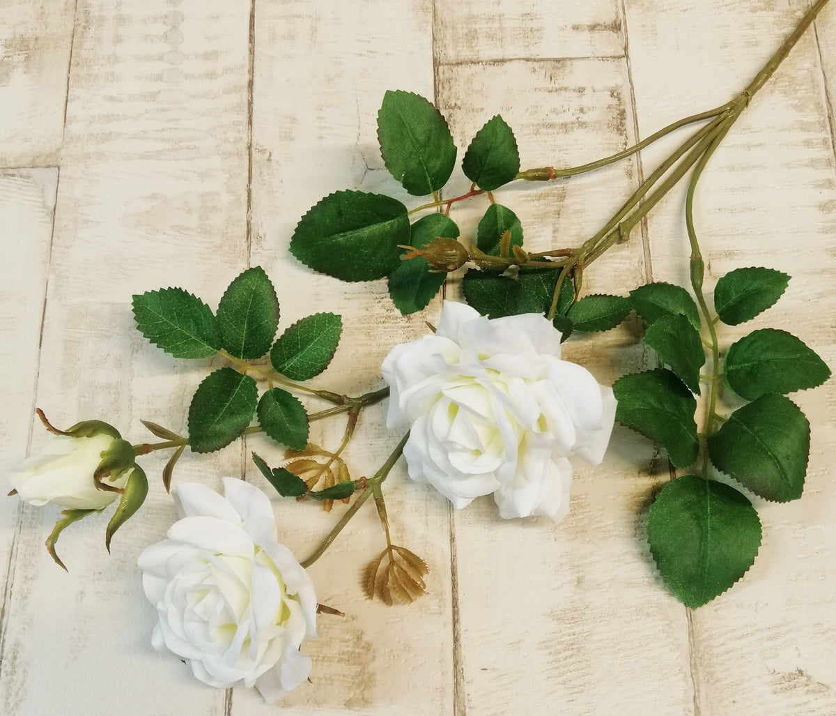 Rose weiß
