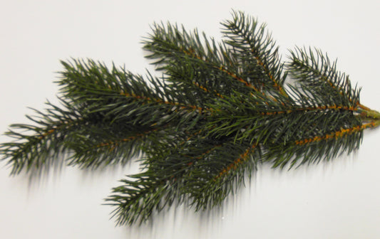 Edel-Tannenzweig x13 grün 50cm künstlich