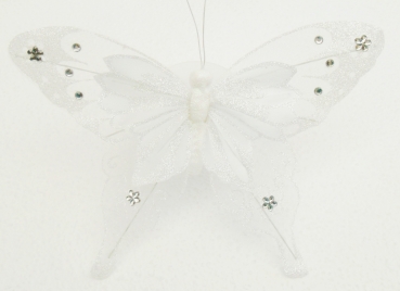 Schmetterling weiß  14cmx20,5cm