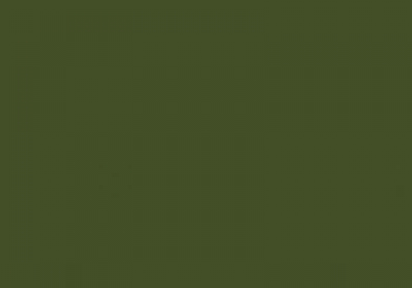 Moosgummi grün (olivgrün) 20x30
